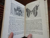 Official New York Zoological Park Guidebook 1911 Hornaday illustrated w/ map