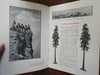 Seattle Washington c. 1925 illustrated promo guide aerial photographs city plan