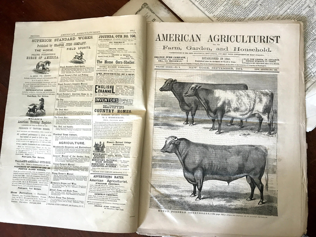 American Agricultural Prairie Newspapers 1864-74 Lot of 3 period advertisements