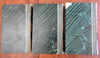 History of Charles XIV King of Sweden & Norway 1858 French leather 3 vol set