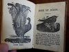 Indians dogs birds flowers 6 chap books c.1840's Merrill juvenile picture book