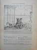 Harvard Lampoon 1900-1901 run 20 issues rare early illustrated humor magazine