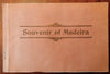 Madeira Portuguese Colony c. 1890's Tourist Souvenir Album Street Scenes