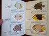 Florida Tourism Oceanarium Marine Studios c. 1940's lot x 2 illustrated booklets