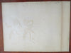 White Lilies in Greek Urn Still Life 1870's rare colorful printed graphic
