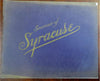 Syracuse New York c. 1900 illustrated souvenir view album street scenes home