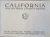 California & Grand Canyon 1914 illustrated souvenir album street scenes views