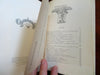 Swedish Tourist Association's Yearbook 1925 illustrated souvenir booklet