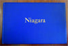 Niagara Falls New York Local History & Views 1895 illustrated souvenir album
