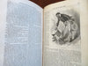 Harper's New Monthly Magazine 1870-71 illustrated leather bound volume 6 issues