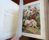 Johnson's Animal Kingdom Zoology 1880 illustrated 64 color plates leather book