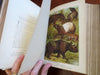 Johnson's Animal Kingdom Zoology 1880 illustrated 64 color plates leather book