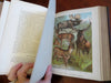 Johnson's Animal Kingdom Zoology 1880 illustrated 64 color plates leather book