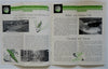 Great Lakes Transit Corporation Travel Brochure 1932 pictorial tourist pamphlet