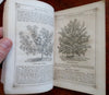 Rural Annual Horticultural Directory 1860 Insects Plants Birds illustrated book