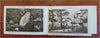 Sachs Schweiz Germany c. 1880's pictorial tourist souvenir album palace views