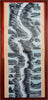Rhine River Mainz Cologne 1880's Folding Panoramic strip Map Architectural Views