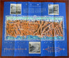 French Riviera Cannes Nice Menton Monaco c. 1930's birds-eye view coast map