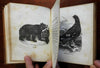 Lady of Lurlei & Other Stories for Children 1852 juvenile's illustrated book