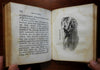 Lady of Lurlei & Other Stories for Children 1852 juvenile's illustrated book