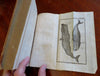 Juvenile Nature Zoology Natural History 1786 German illustrated 11 plates book