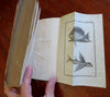 Juvenile Nature Zoology Natural History 1786 German illustrated 11 plates book