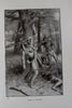 History of Our Country U.S. History 72 issues 1900 complete illustrated set