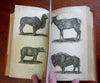 U.S. History Geography 1795 Winterbotham illustrated book 15 plates Americas
