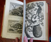 U.S. History Geography 1795 Winterbotham illustrated book 15 plates Americas