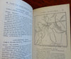 Southern New England Trolley Trips New York Conn. Mass. 1903 booklet w/ maps
