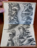 Rhine Panorama from Cologne to Mainz c. 1860 tourist souvenir panorama album