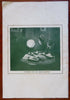 H.H. Berger & Co Fall 1911 Seed Catalogue Illustrated Advertising Booklet