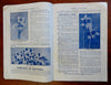 H.H. Berger & Co Fall 1911 Seed Catalogue Illustrated Advertising Booklet