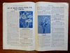 H.H. Berger & Co Fall 1911 Seed Catalogue Illustrated Advertising Booklet