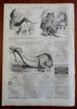 Battle of Winchester Buell Harper's Civil War newspaper 1862 complete issue