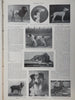 Sinking of the Maine Harper's Spanish-American War newspaper 1898 complete issue
