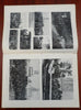 Prisoner Exchange Golf Harper's Spanish-American War newspaper 1898 issue
