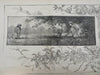 World Building Fire Plains Life Harpers Gilded Age newspaper 1882 complete issue
