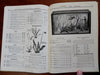 Biology Specimens Dissection Observation 1938 school mail order catalog