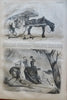Gold Hunting Cartoons Holy Land Travel Harper's newspaper 1858 complete issue