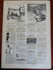 Chickahominy Swamp Pickets Harper's Civil War newspaper 1862 complete issue