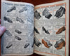 W & H Walker Co. Summer Sale Mail Order Catalog c. 1916 illustrated rare fun!