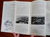 Caribbean Cruise Canadian National Steamships c. 1955 illustrated tourist ad