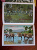 Cuba Travel Ephemera 1890-1930 Lot x 4 Souvenir Albums Street Scenes Landscapes