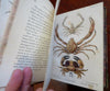 British Crustaceans Crab Shrimp Lobster 1857 White 20 hand color plates book