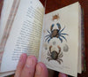 British Crustaceans Crab Shrimp Lobster 1857 White 20 hand color plates book