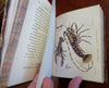 British Crustaceans Crab Shrimp Lobster 1857 White 20 hand color plates book