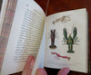 British Crustaceans Crab Shrimp Lobster 1857 White 20 hand color plates book