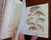 British Crustaceans Crab Shrimp Lobster 1857 White 20 hand color plates book