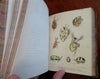 British Crustaceans Crab Shrimp Lobster 1857 White 20 hand color plates book